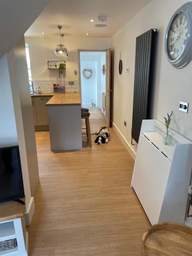 St Reatham Cottage Kilmington  Extérieur photo